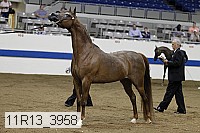 11r13_3958 proof