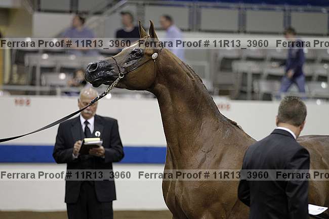 Proof 11r13_3960