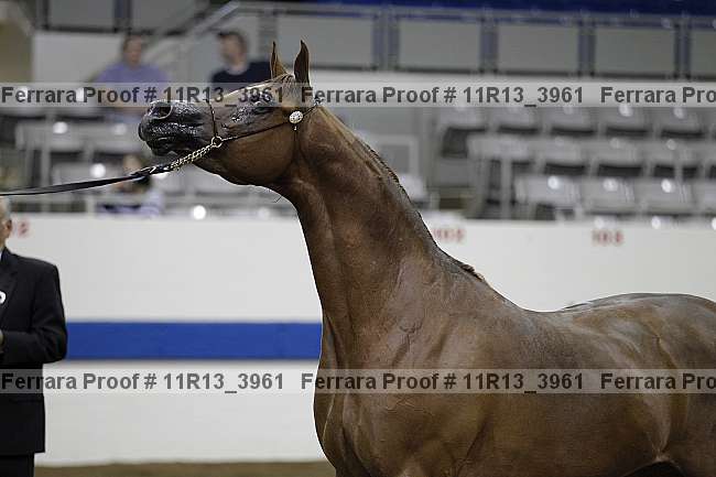 Proof 11r13_3961