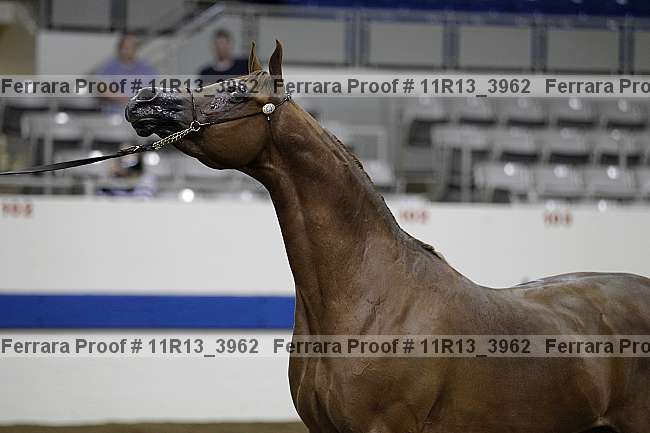 Proof 11r13_3962