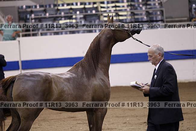 Proof 11r13_3963