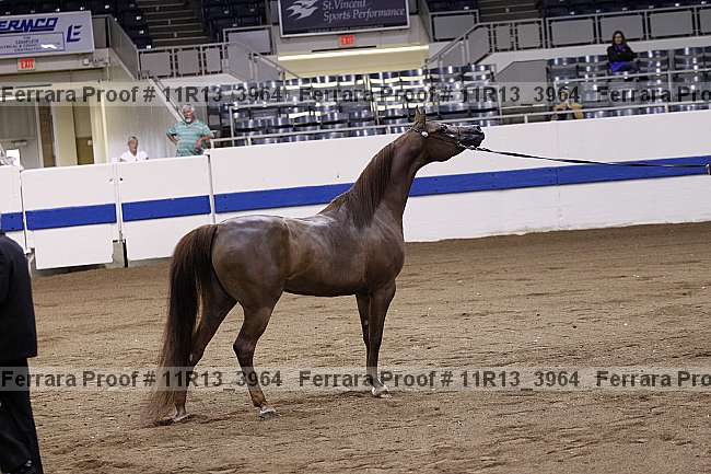 Proof 11r13_3964