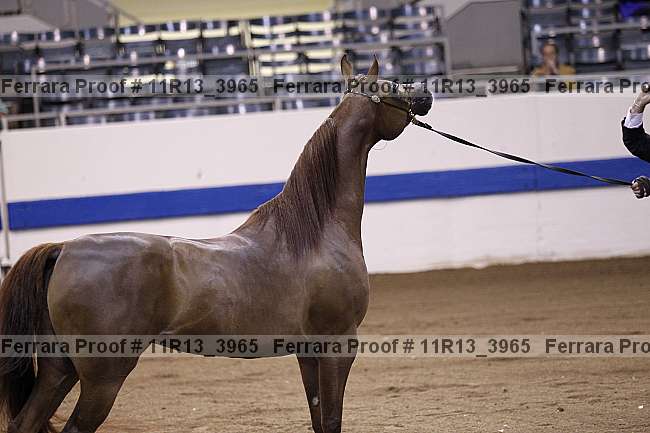 Proof 11r13_3965