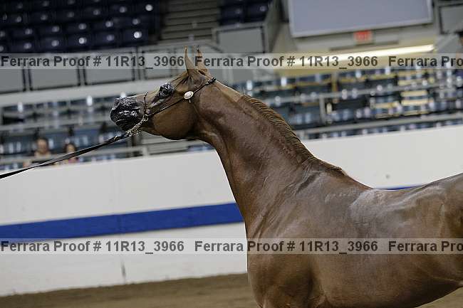 Proof 11r13_3966