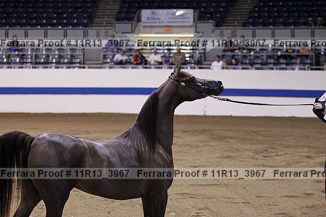 Proof 11r13_3967