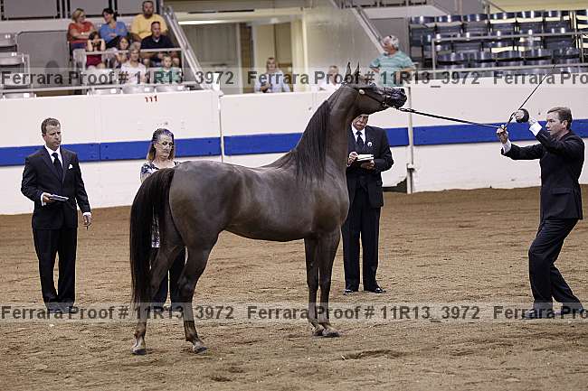 Proof 11r13_3972