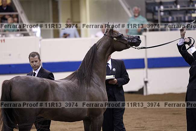 Proof 11r13_3974