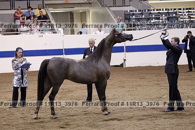 Proof 11r13_3976