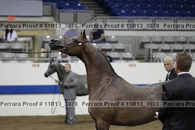 Proof 11r13_3978