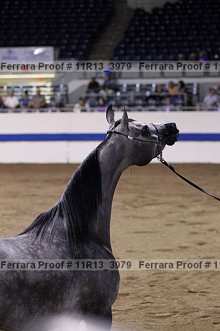 Proof 11r13_3979