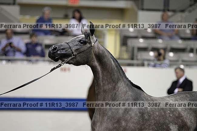 Proof 11r13_3987