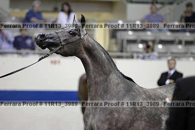 Proof 11r13_3989