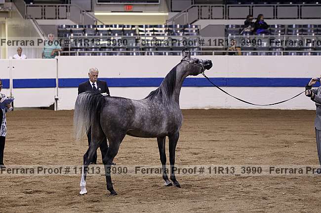 Proof 11r13_3990