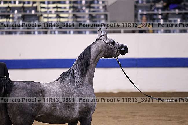Proof 11r13_3991