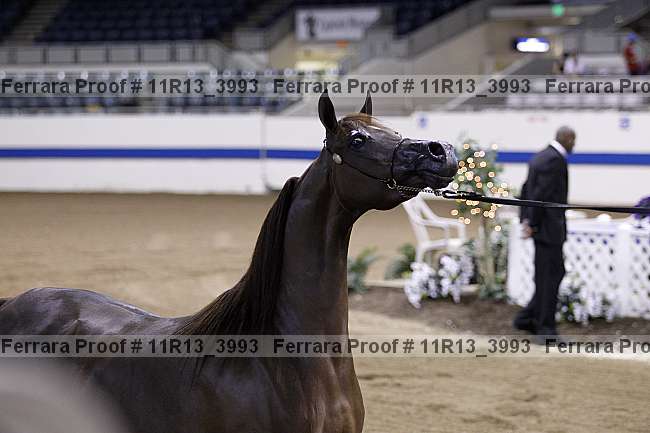 Proof 11r13_3993
