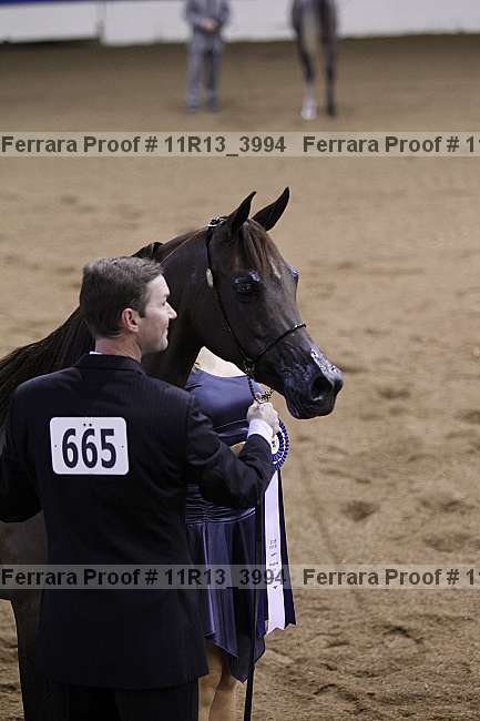 Proof 11r13_3994