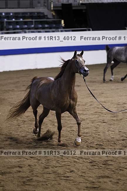 Proof 11r13_4012