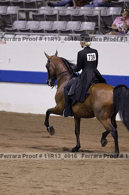 Proof 11r13_4016