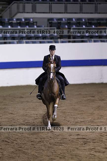 Proof 11r13_4028