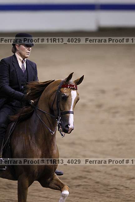 Proof 11r13_4029