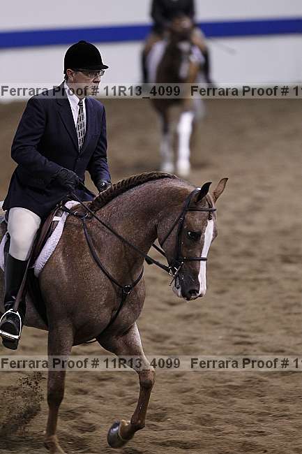 Proof 11r13_4099