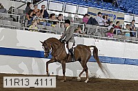 11r13_4111 proof