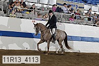 11r13_4113 proof