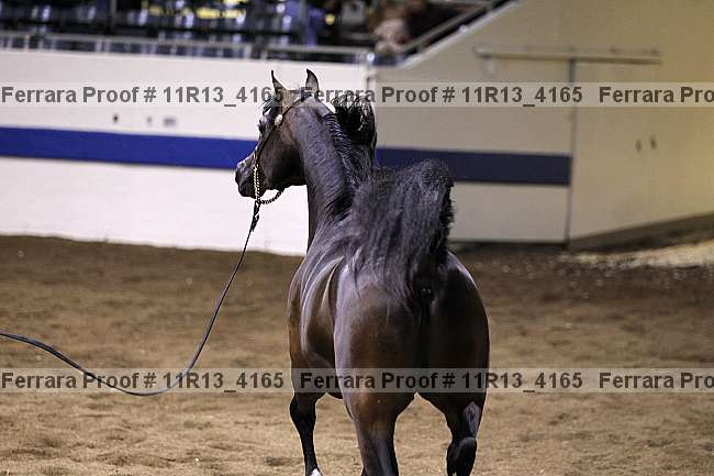 Proof 11r13_4165