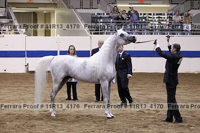 Proof 11r13_4170