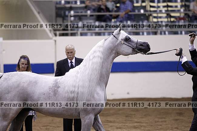 Proof 11r13_4173