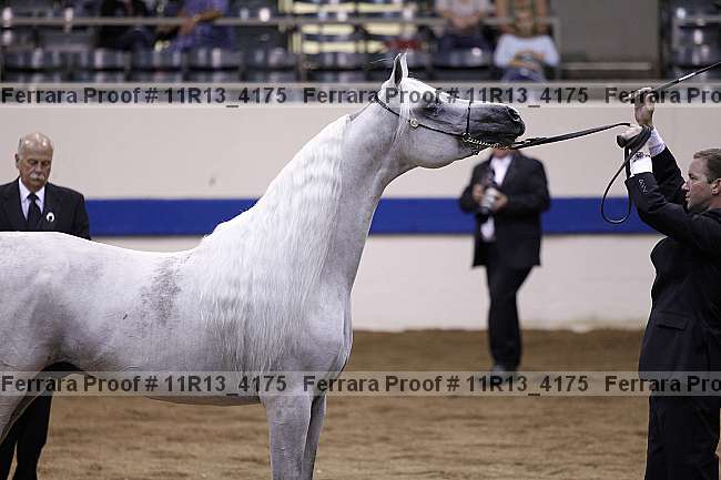 Proof 11r13_4175