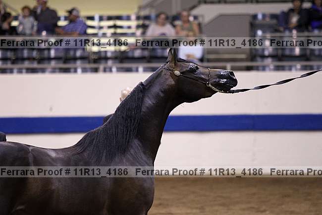 Proof 11r13_4186