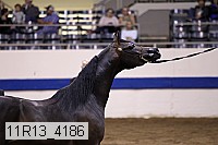 11r13_4186 proof