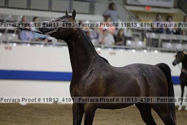 Proof 11r13_4191