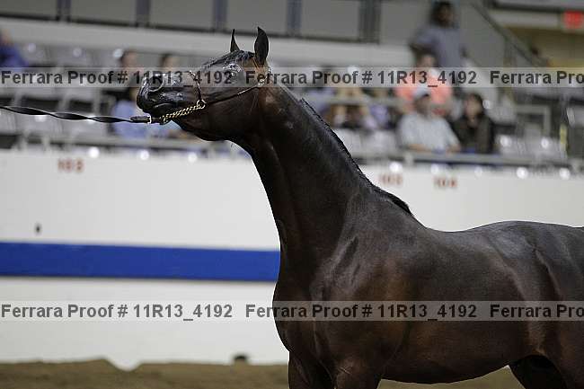 Proof 11r13_4192