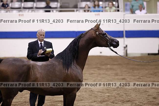 Proof 11r13_4203