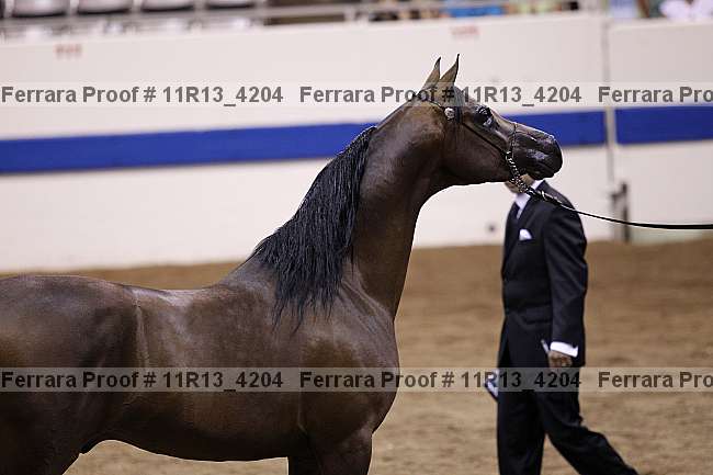 Proof 11r13_4204