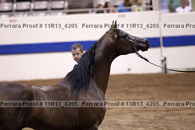 Proof 11r13_4205
