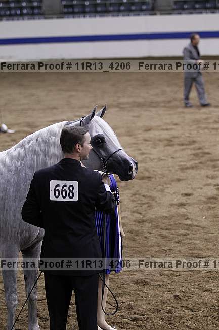 Proof 11r13_4206