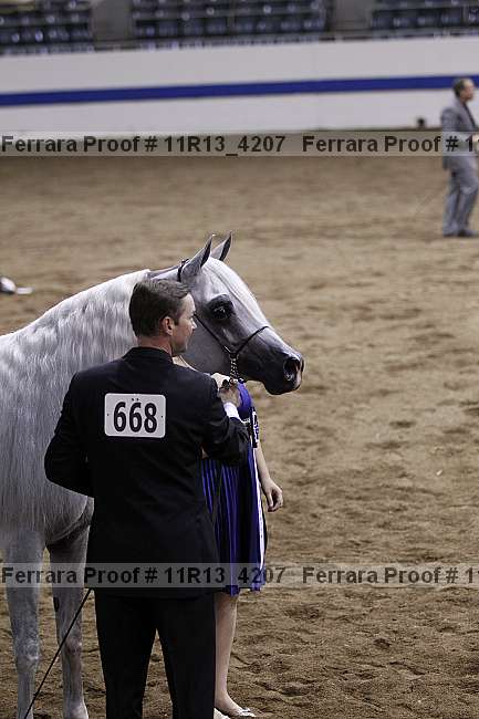 Proof 11r13_4207