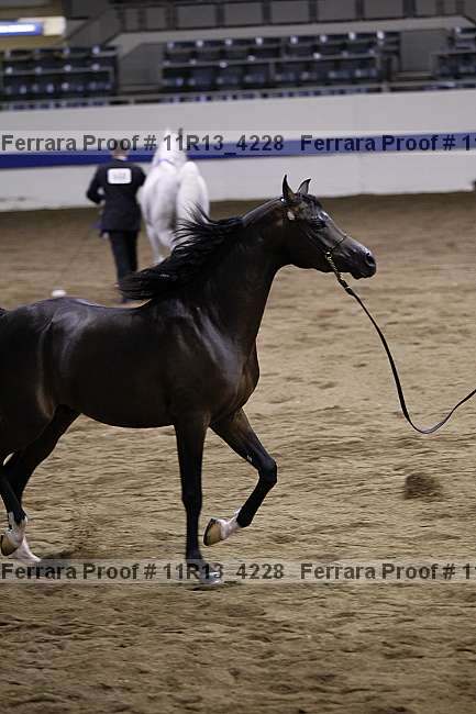 Proof 11r13_4228