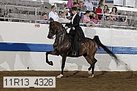 11r13_4328 proof