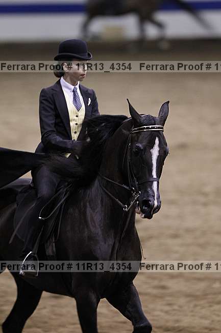 Proof 11r13_4354