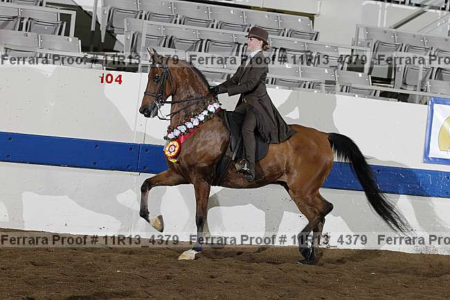 Proof 11r13_4379