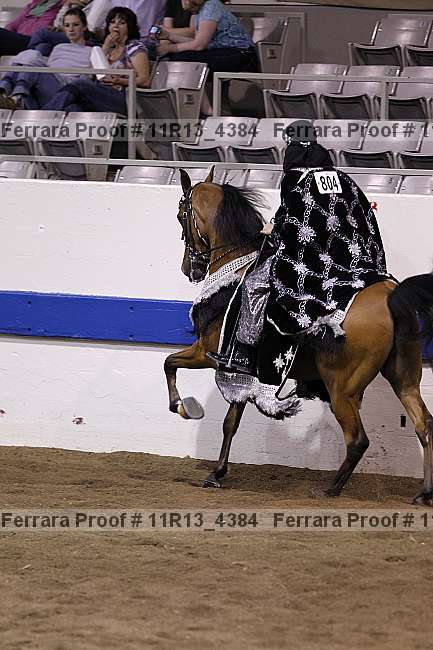 Proof 11r13_4384