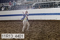11r13_4401 proof