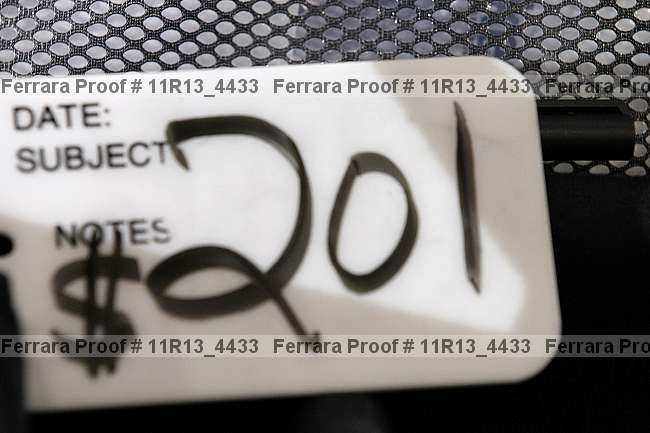 Proof 11r13_4433