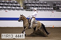 11r13_4441 proof