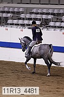 11r13_4481 proof
