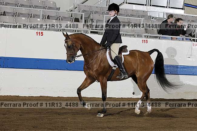 Proof 11r13_4488